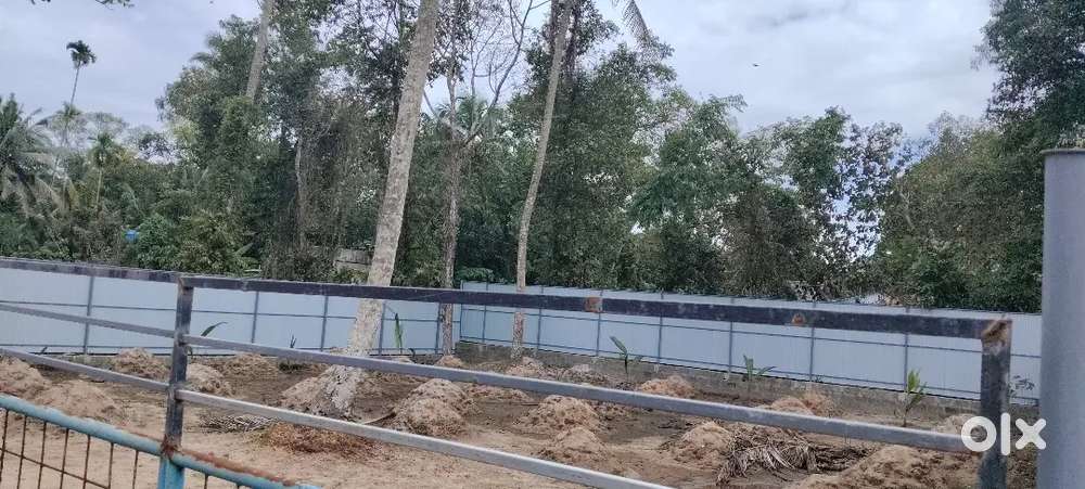 8cent ചുറ്റും മതിൽ 3 ലക്ഷം രൂപ ഒരു സെന്റ് സ്ഥലത്തിന് സ്ക്വയർ പ്ലോട്ട്