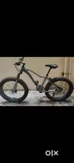 Cestello cycle for sell