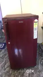 Hair refrigerator 165 ltr