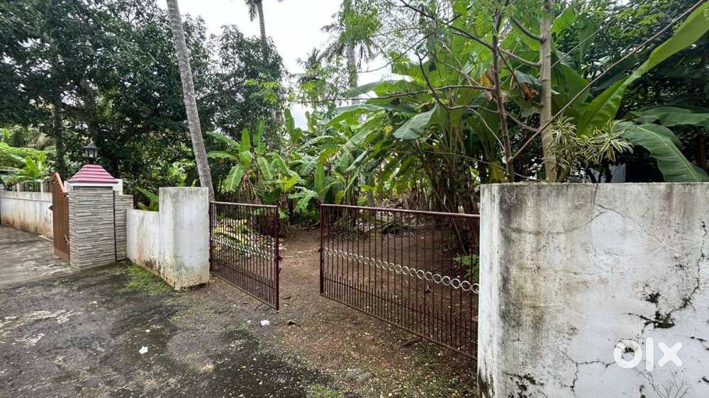 16 Cent Land for sale in Mannathala Thiruvananthapuram