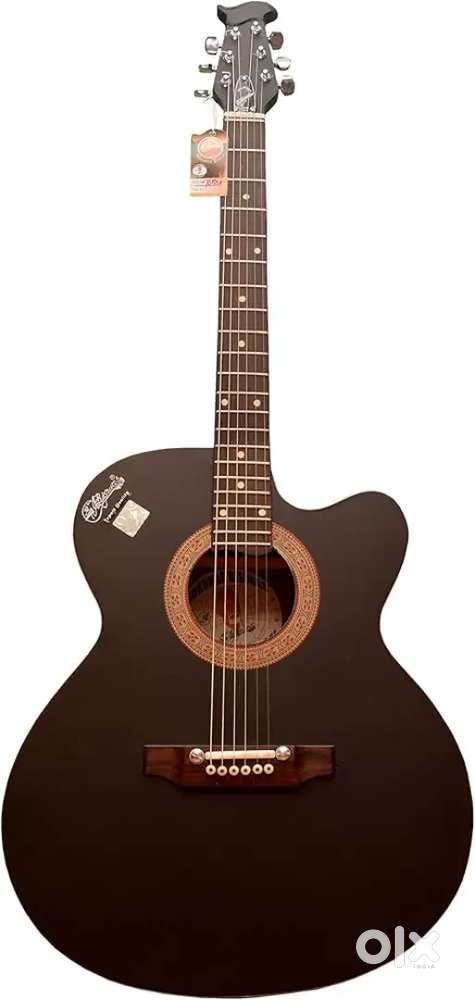 Biswas My sign Semi Acoustic Guitar...