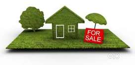 House and plot for sale