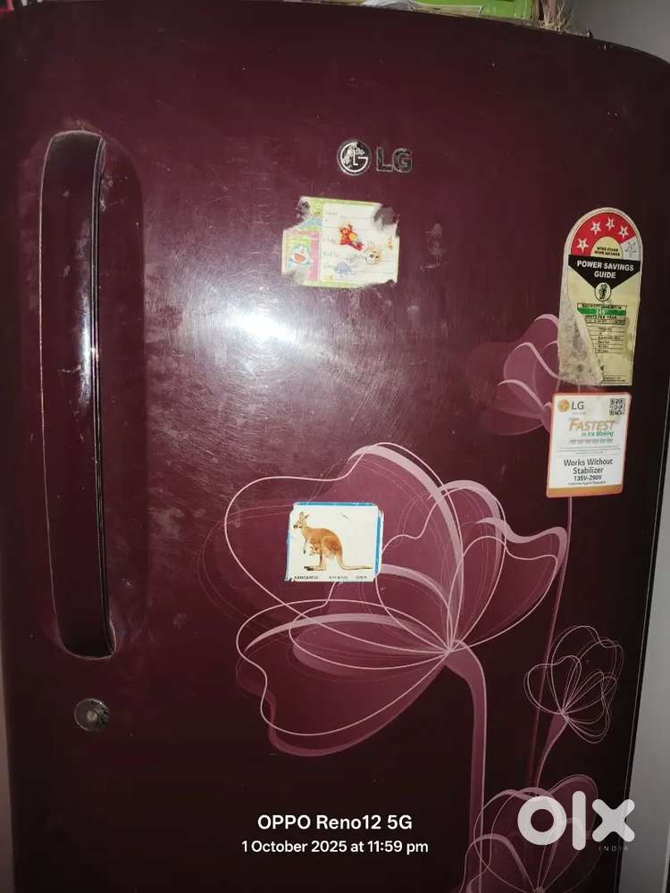 Lg fridges