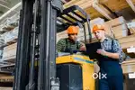 Looking energetic employees for logistics warehouse