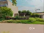 100 Gaj Plot for sale in Sector - 66 B IT City Mohali