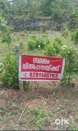 Near Palakkad Medical college & Lulumall