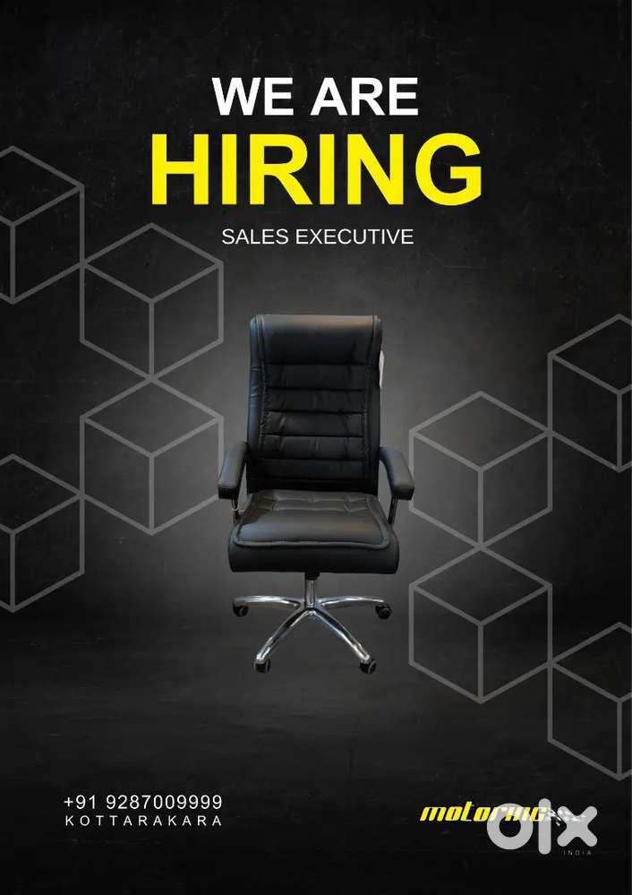 Sales Executive  for car accesories showroom