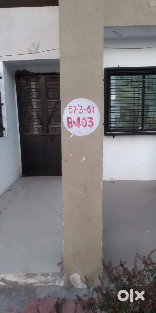 Best.. House