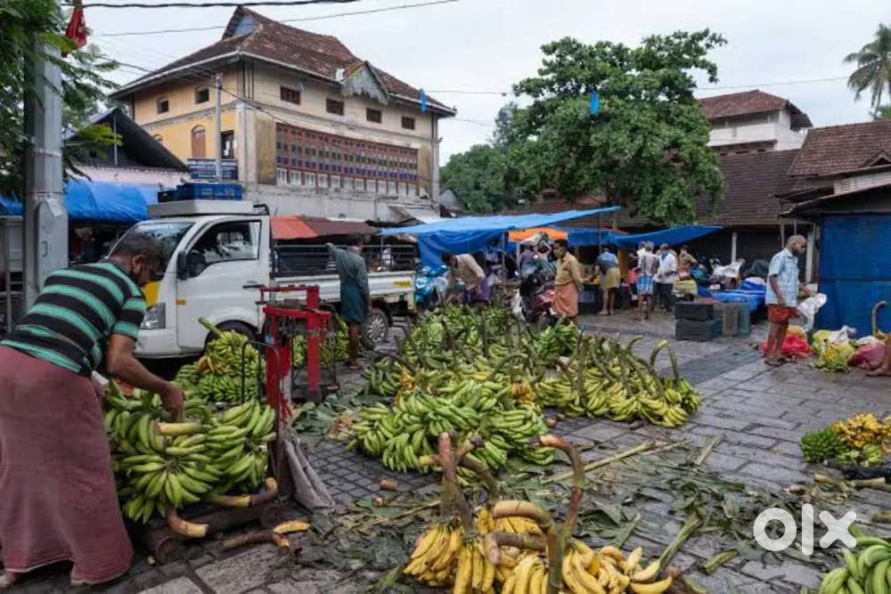 Account Assistant(Tally)/Billing Staff-Male -Kottapuram Market