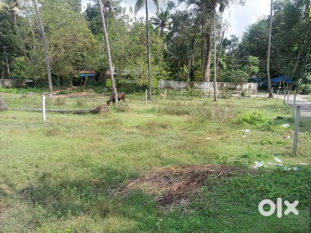 10 Cent land in Good location @ Mannam