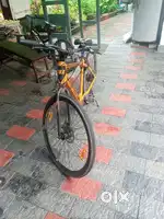 Electric cycle