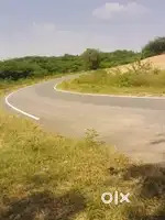 3 biga khet he madhay Paresh mihoni mander