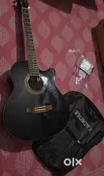 Acoustic guitar