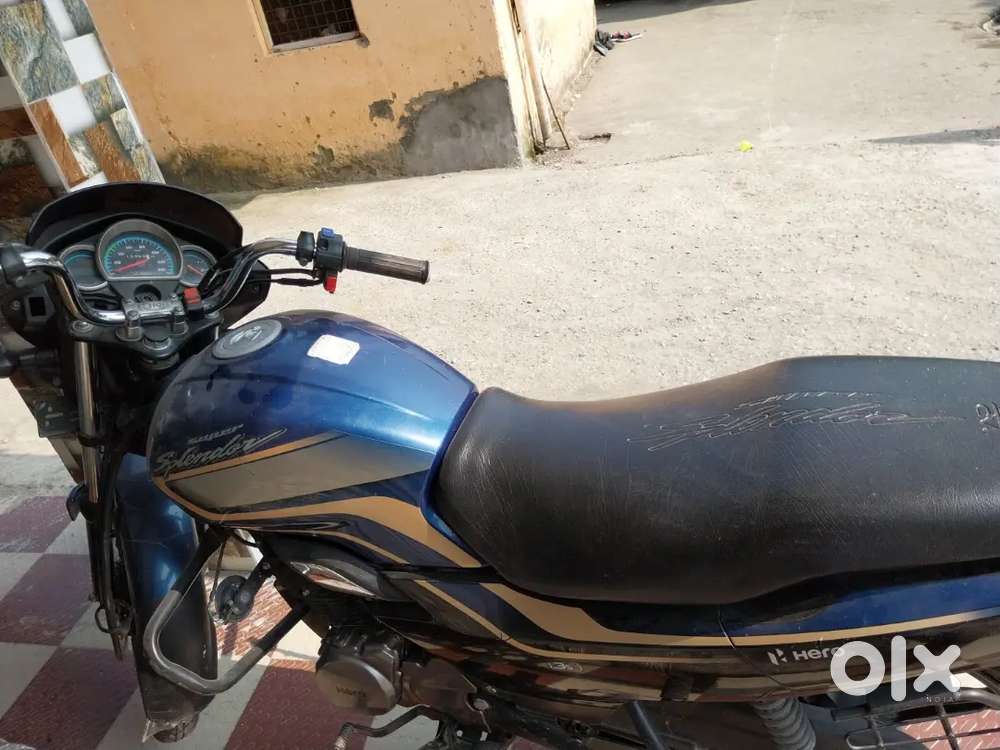 Koi.kami nhi hae