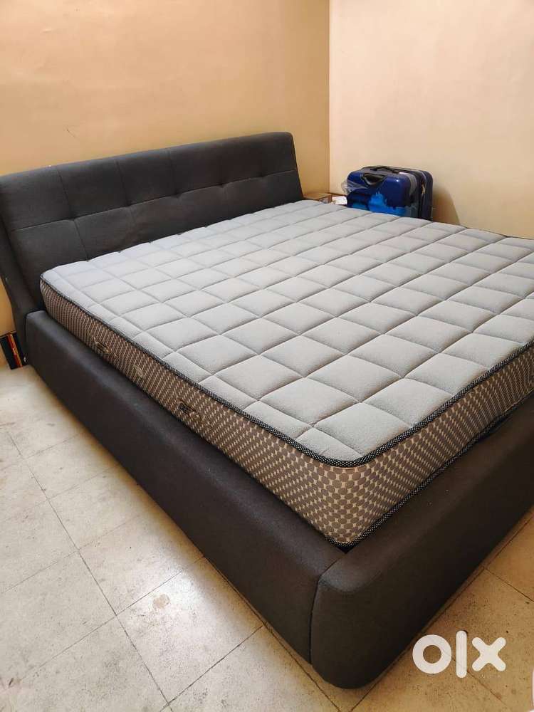 Urban Ladder Stanhope King Size Storage Bed + Peps Spine Guard Mattres