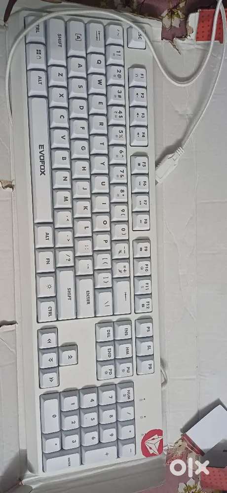 Evofox LED keyboard