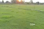 Land plot for sale at Amolapam, Tezpur, Assam