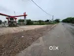 Govt approved plots