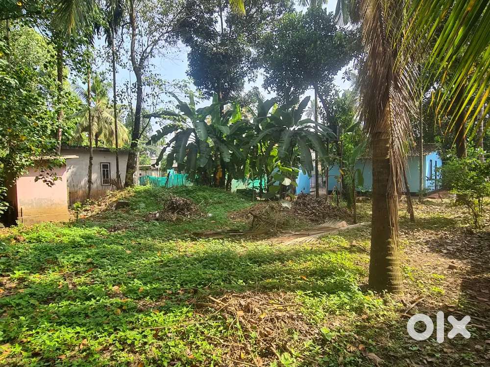 Plot for sale