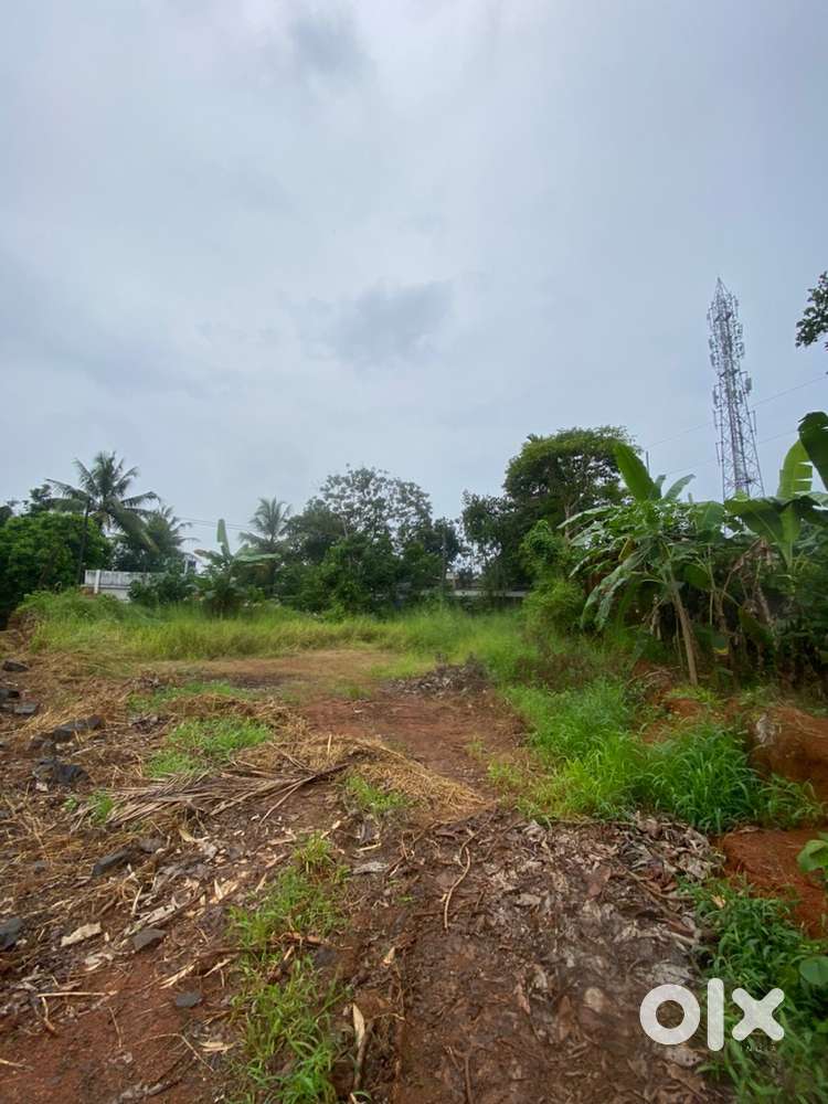 12 cent land for sale near aluva kezhmad