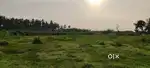 Paravada ootagedda near Stbl beside