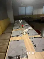 Receptions