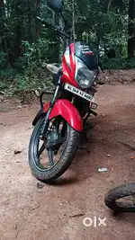 Neat and clean