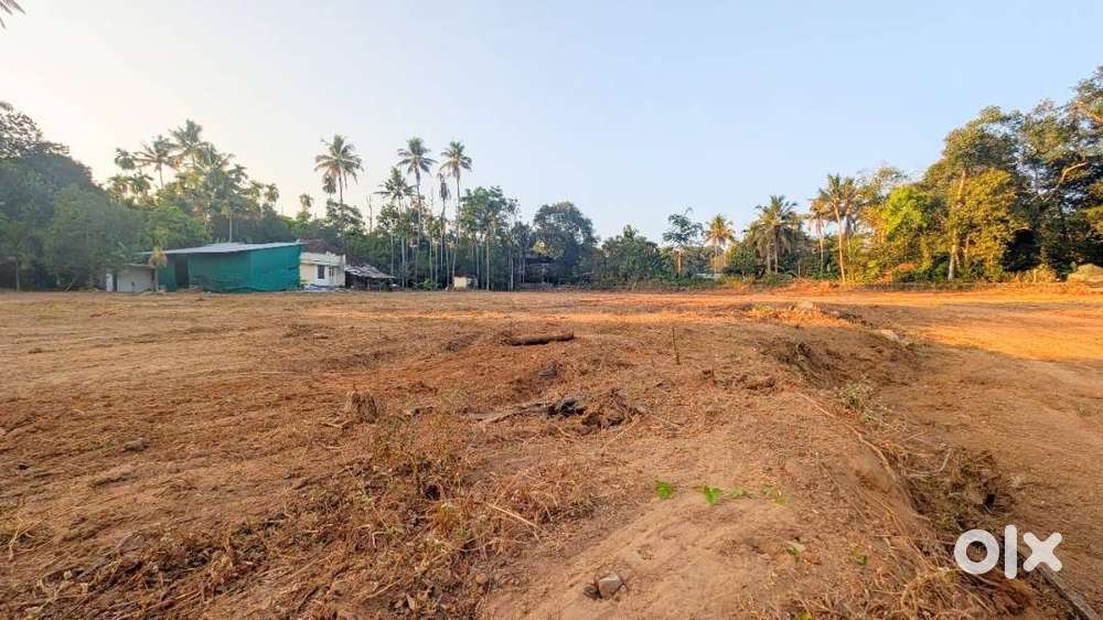 Chalakudy near cresent public school villa plot for sale Free Reg.