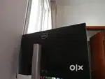 DELL Monitor