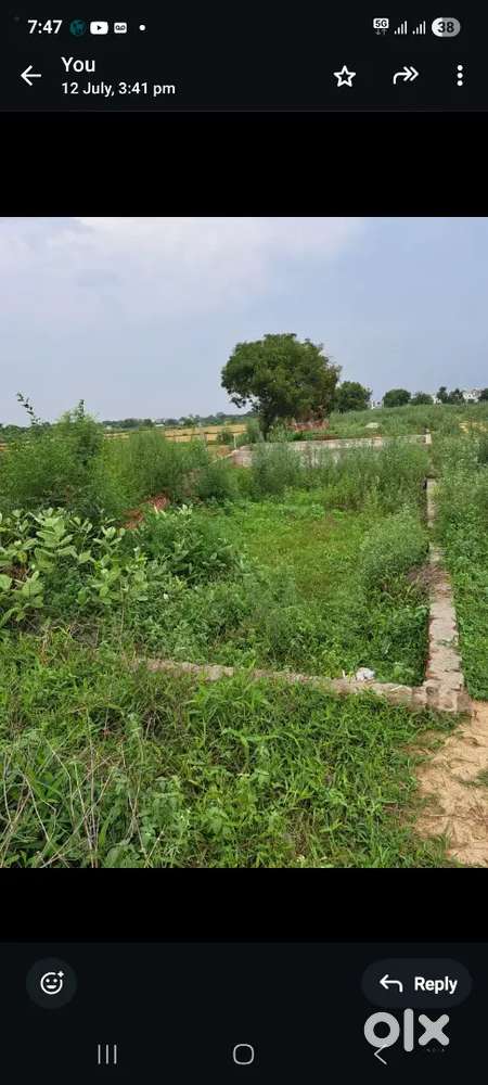 140 gaj ka plot, 2 raste ka