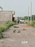 PLOT HI PLOT DADARI NAGAR ROAD GREATER NOIDA TILPATA