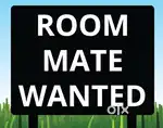 Need A roomate girl/boy for my 1 bhk flat