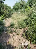 Plot for sales location kilinjikuppam