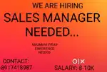 SALES MANGER NEEDED URGENTLY