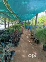 Narsari  sale