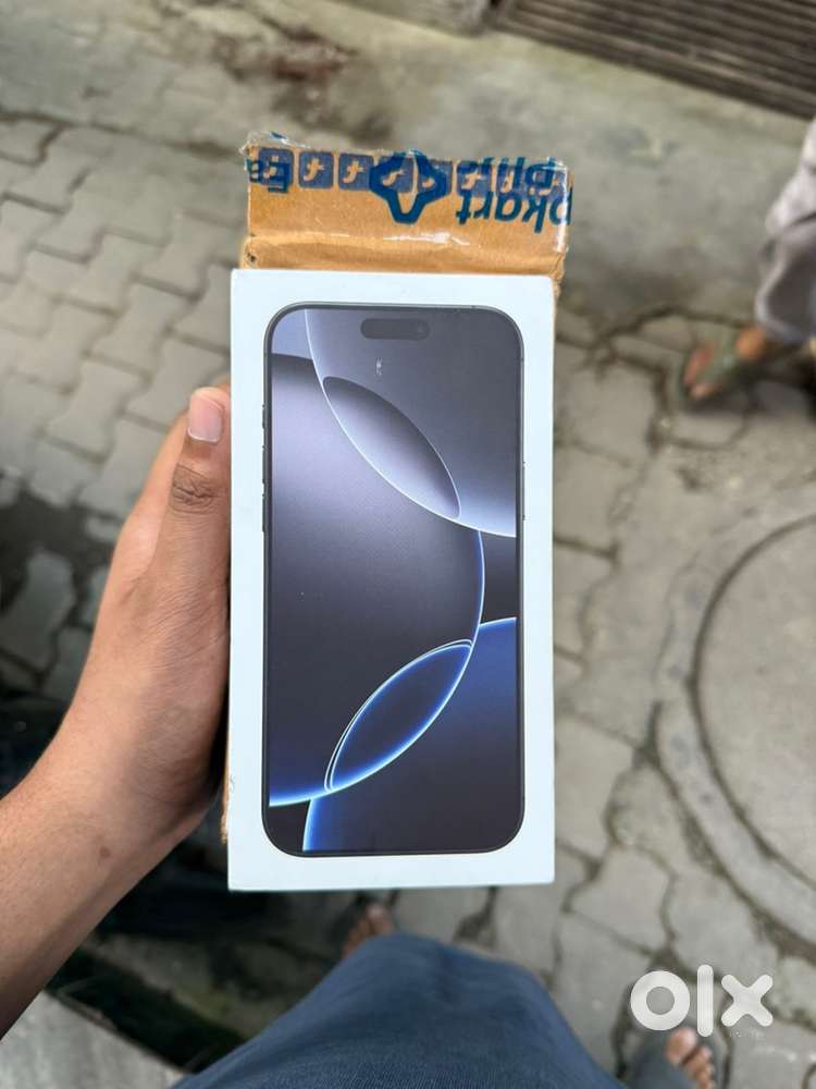 16 Pro Max