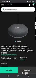 GOOGLE NEST MINI SPEAKER