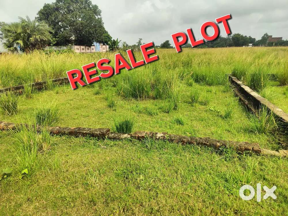 Plot behind radiant resort