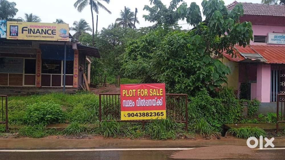 Karpagam’s plot