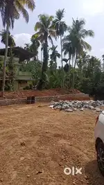 8 cent cent plot available angamaly elavoorkavala NH 1km