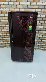 Lg 215 liters 5 star rating single door with 1 year warranty on motor
