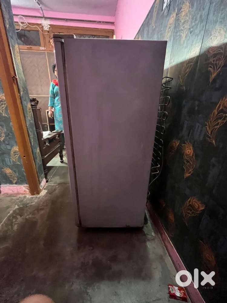 Single door Electrolux fridge