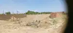 221 Sq Yards Plot In Vintage Homes