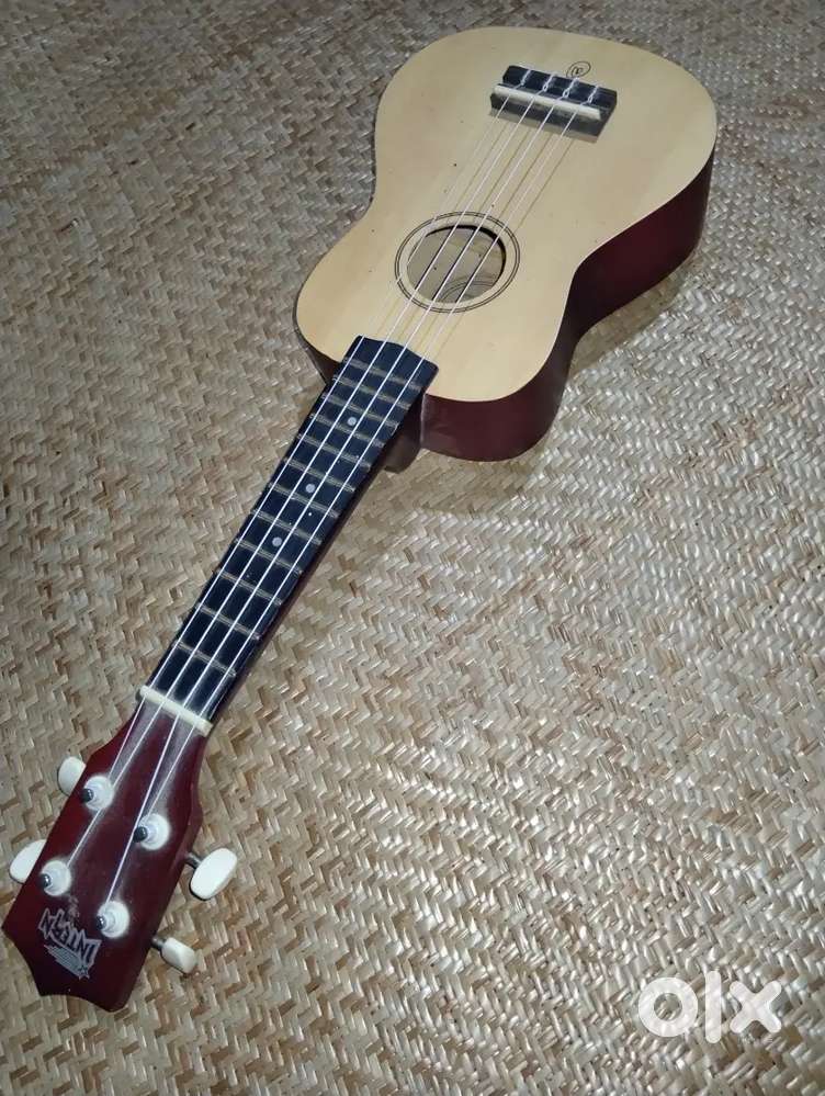 The best instrument ever, ukulele