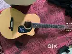 Acoustics Guitar