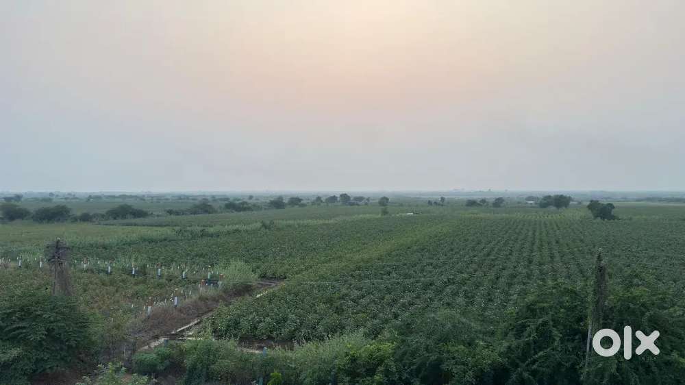 18 acre Land For Sell Near Limbdi, Surendranagar