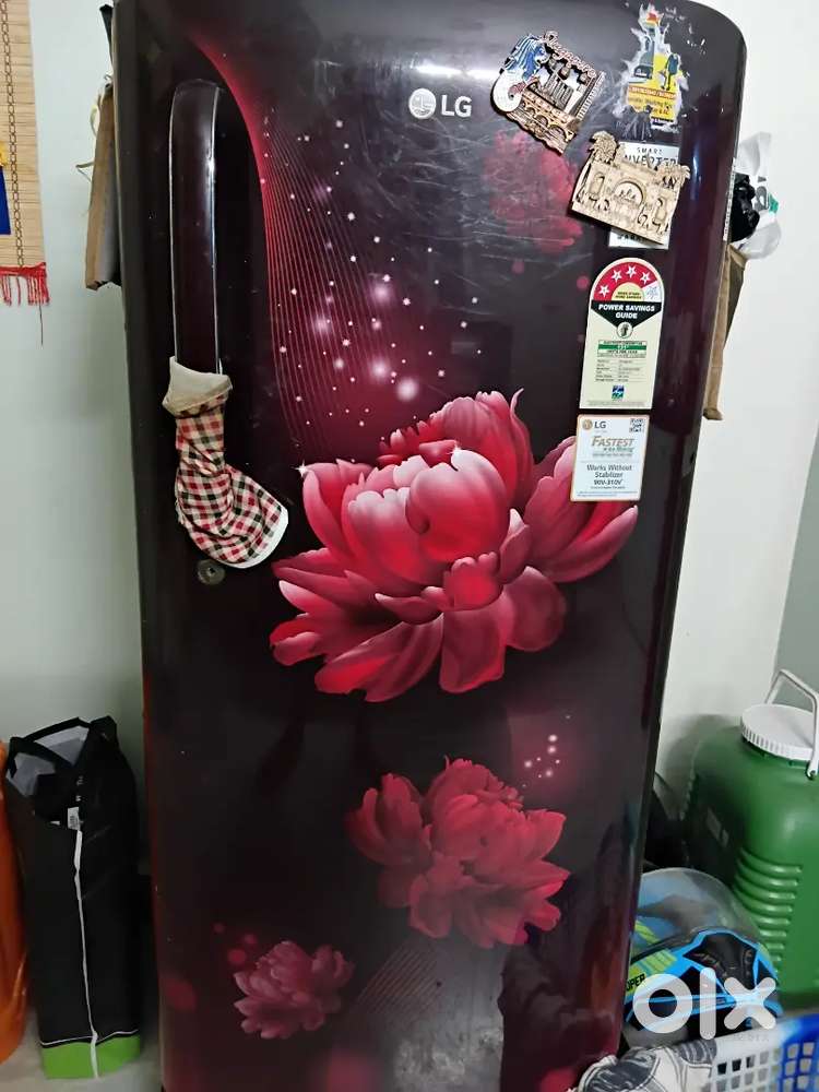 LG fridge 4 years old