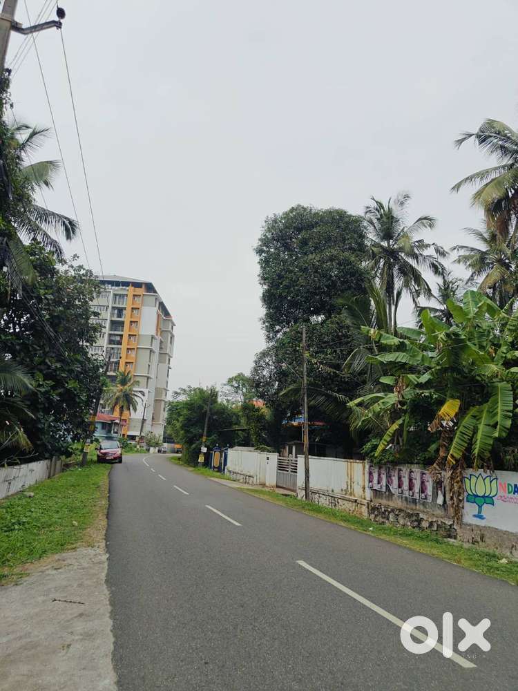 Prime Residential Plot for Sale in Ramanathapuram, Palakkad