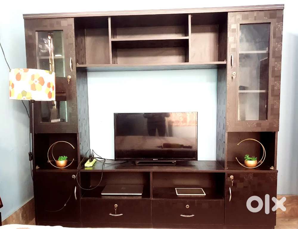 Television (TV) Unit