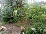 5 Cent house plot for sale @Padanilam